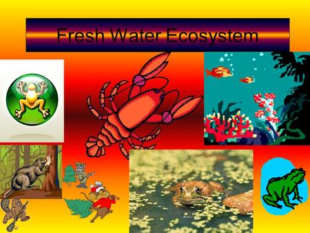 Fresh Water Ecosystem. Biome Websites Biome Website #1 Biome Website #2 Biome Website #3 Biome Website #4 Biome Website #5.