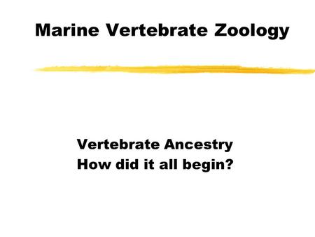 Marine Vertebrate Zoology