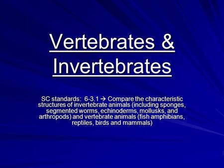 Vertebrates & Invertebrates