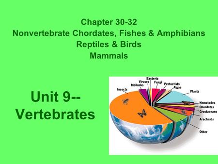 Unit 9-- Vertebrates Chapter 30-32 Nonvertebrate Chordates, Fishes & Amphibians Reptiles & Birds Mammals.