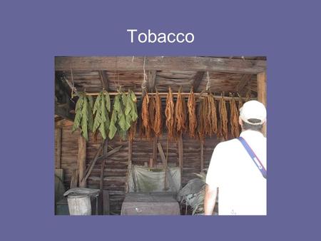 Tobacco.