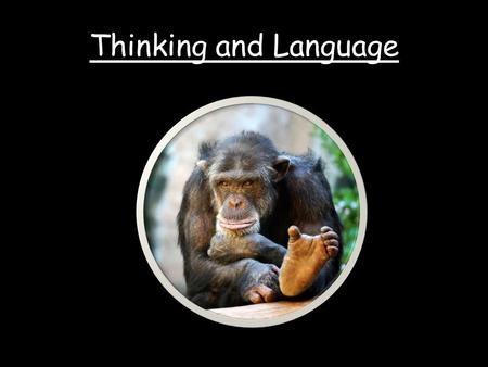 Thinking and Language. AP EXAM Cognition (8–10%) In this unit students learn how humans convert sensory input into kinds of information. They examine.