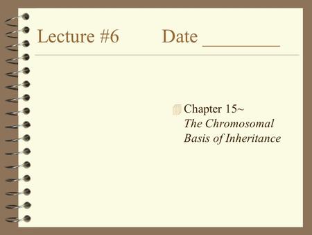 Lecture #6 Date ________ 4 Chapter 15~ The Chromosomal Basis of Inheritance.