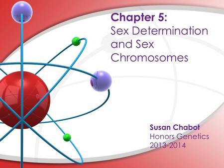 Chapter 5: Sex Determination and Sex Chromosomes Susan Chabot Honors Genetics 2013-2014.