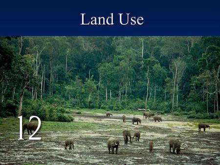 Land Use. 29% of the earth is land –29% forests and woodlands –27% range and pastures –11% cropland –33% tundra, marsh, desert, urban areas, bare rock,