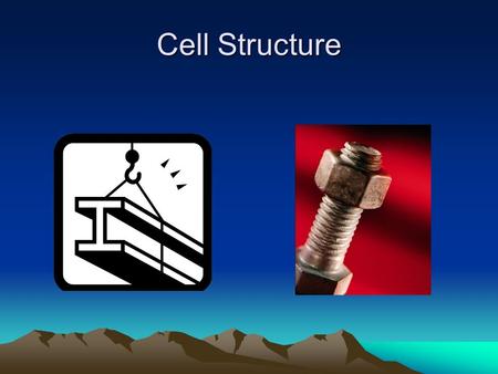 Cell Structure. Cell Organelles Little organs- carry out life processes in the cell.