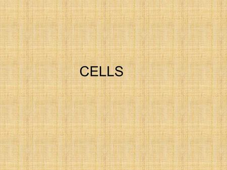 CELLS.