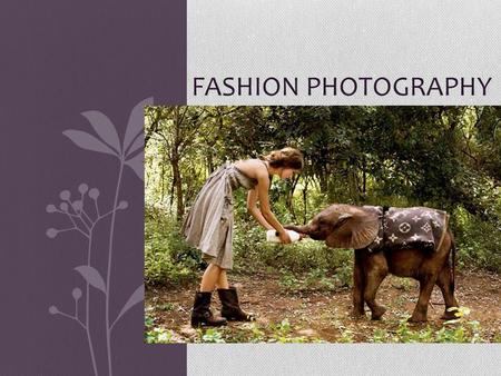 Fashion Photography.