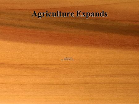 Agriculture Expands  Most Americans still worked on farms  Northeast- farms are small and sell products locally  Most Americans still worked on farms.