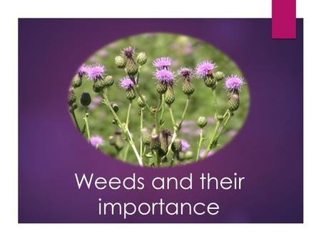 Weeds and their importance