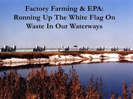 Factory Farming & EPA: Running Up The White Flag On Waste In Our Waterways.