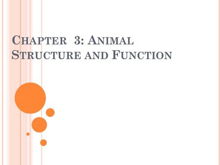 C HAPTER 3: A NIMAL S TRUCTURE AND F UNCTION. A IM : H OW ARE ANIMALS CLASSIFIED INTO GROUPS ?