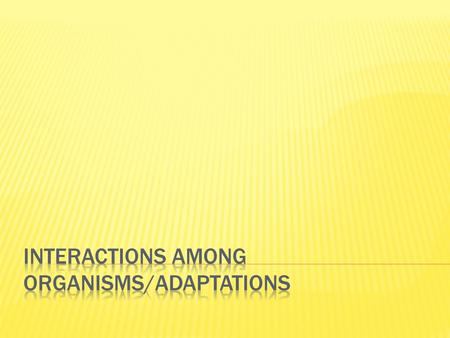  Limiting factors  Resource in an environment is scarce…limits the amount of organisms in an eco system  Carrying capacity = total amount an ecosystem.