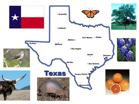 South Texas Major Cities: *Houston *San Antonio.