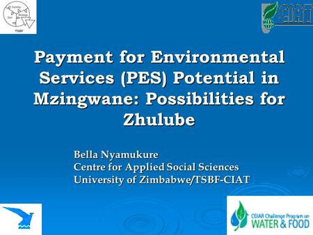 Payment for Environmental Services (PES) Potential in Mzingwane: Possibilities for Zhulube Bella Nyamukure Centre for Applied Social Sciences University.