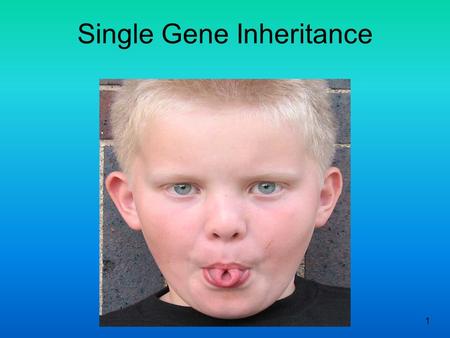 Single Gene Inheritance