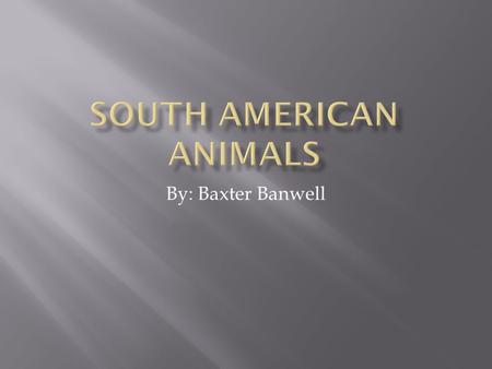 By: Baxter Banwell.  The Nutria is a semi aquatic rodent with webbed hind feet.  They live by bodies of water and dig their burrow near the water. 