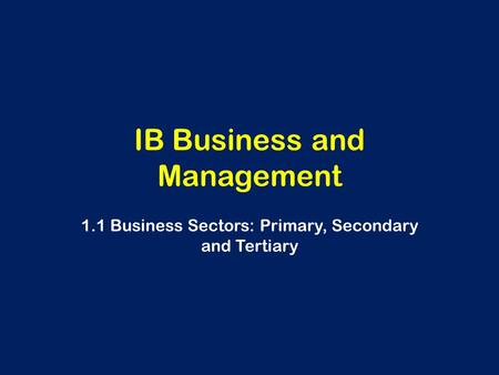 IB Business and Management