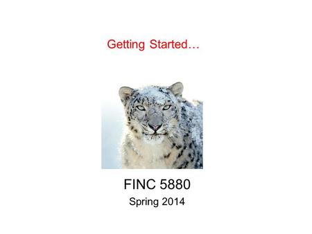 Getting Started… FINC 5880 Spring 2014. Scores FINC 5000.