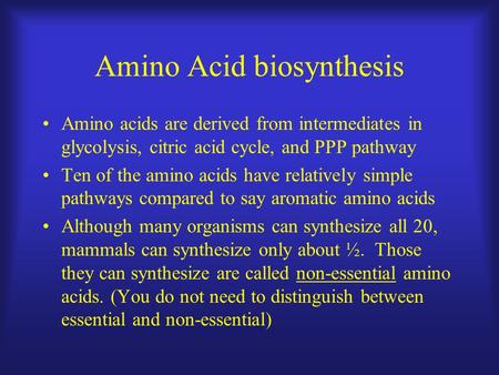 Amino Acid biosynthesis Amino acids are derived from intermediates in glycolysis, citric acid cycle, and PPP pathway Ten of the amino acids have relatively.