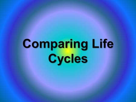 Comparing Life Cycles. FrogTomato Plant Frog EggsTomato Seeds U.S. Fish & Wildlife Service.