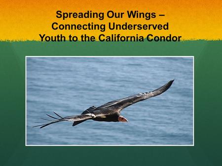 Spreading Our Wings – Connecting Underserved Youth to the California Condor.