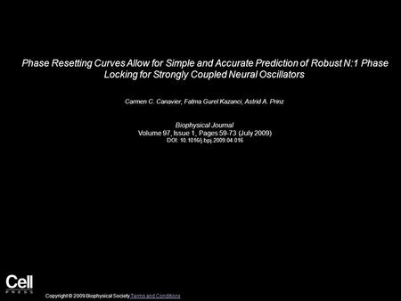 Phase Resetting Curves Allow for Simple and Accurate Prediction of Robust N:1 Phase Locking for Strongly Coupled Neural Oscillators Carmen C. Canavier,