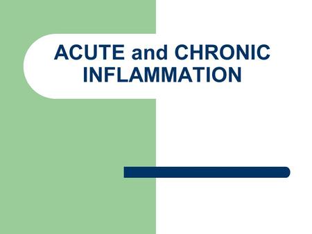 ACUTE and CHRONIC INFLAMMATION. Vascular congestion.