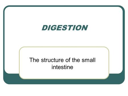 DIGESTION The structure of the small intestine. The structure of the small intestine The ileum is well adapted for absorption It is very long – about.