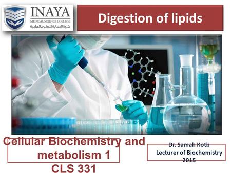 Cellular Biochemistry and metabolism 1 Lecturer of Biochemistry