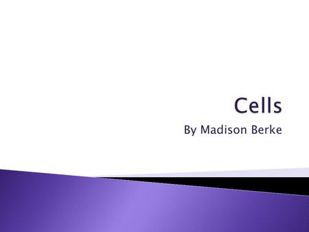 By Madison Berke.  A main purpose of a cell is to organize. Cells hold a variety of pieces and each cell has a different set of functions. It’s way easier.