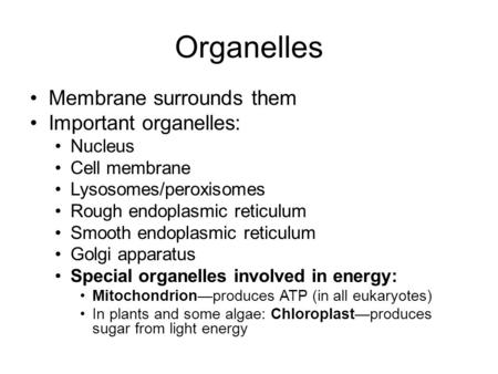 Organelles Membrane surrounds them Important organelles: Nucleus Cell membrane Lysosomes/peroxisomes Rough endoplasmic reticulum Smooth endoplasmic reticulum.