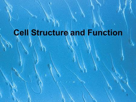 Cell Structure and Function 1. Agre and cells in the news 2.