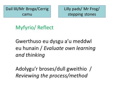 Dail lili/Mr Broga/Cerrig camu Myfyrio/ Reflect Gwerthuso eu dysgu a’u meddwl eu hunain / Evaluate own learning and thinking Adolygu’r broses/dull gweithio.