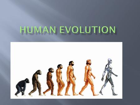 Human Evolution.