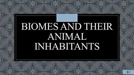 BIOMES AND THEIR ANIMAL INHABITANTS. Content Area: Science Grade Level: 2 ◦Summary: The purpose of this instructional PowerPoint is to teach the students.