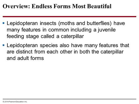 © 2014 Pearson Education, Inc. Overview: Endless Forms Most Beautiful  Lepidopteran insects (moths and butterflies) have many features in common including.