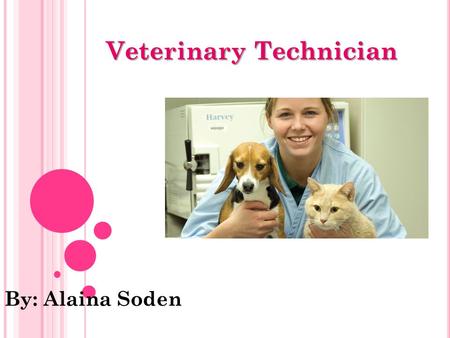 Veterinary Technician By: Alaina Soden.  the care for animals  what I want to be  spend time with animals  you gain trust.