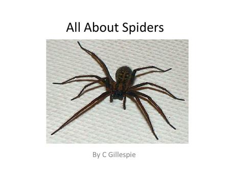 All About Spiders By C Gillespie. Spiders have eight hairy legs.