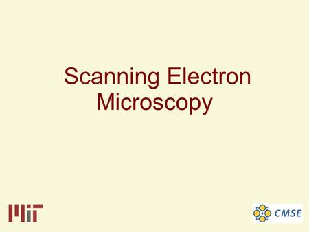 Scanning Electron Microscopy