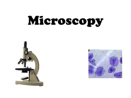 Microscopy. Microscopy Techniques objective light source “transmitted”