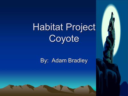 Habitat Project Coyote By: Adam Bradley. Habitat The coyote lives in the desert. It is hot there. There is lots and lots of trees and cacti. There is.