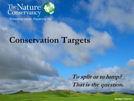 Conservation Targets To split or to lump? That is the question.