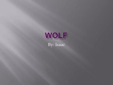 By: Isaac Today I am going to tell you about wolves.