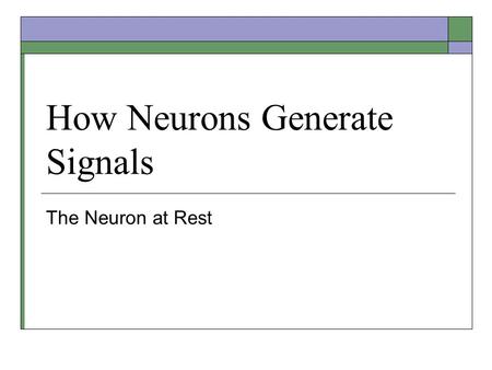 How Neurons Generate Signals The Neuron at Rest. Stepping on a Thumbtack  Reflexive withdrawal of the foot – a simple behavior controlled by a circuit.