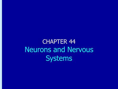 Chapter 44: Neurons and Nervous Systems CHAPTER 44 Neurons and Nervous Systems.