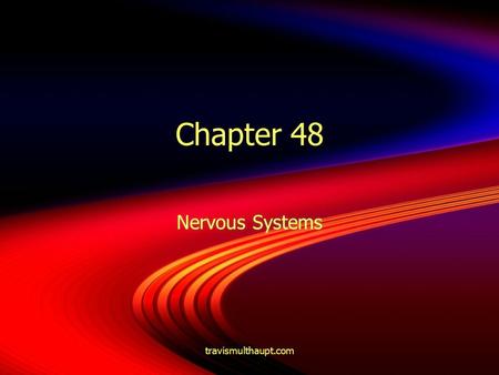 Travismulthaupt.com Chapter 48 Nervous Systems. travismulthaupt.com Nerve Systems  A neuron is a nerve cell, and there are 100 billion in the brain.