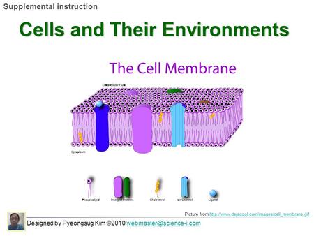 Designed by Pyeongsug Kim ©2010 Supplemental instruction Cells and Their Environments Picture from