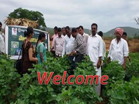 1 Presentation On Strategic Action Plan For Achieving Double Digit Growth in Bollapalli Mandal By Y.Amir Reddy, M.Sc.(Ag.)., Mandal Agricultural Officer,Bollapalli.