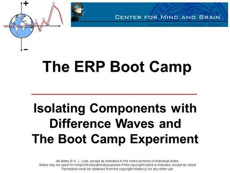 The ERP Boot Camp Isolating Components with Difference Waves and